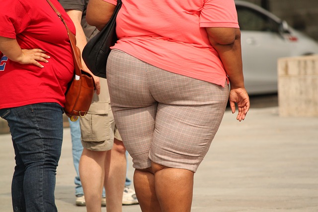 fat body